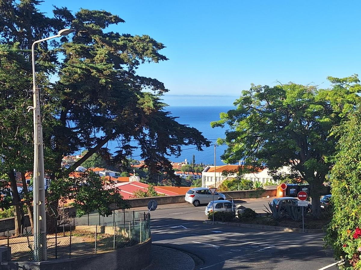 Funchal Apartments - New Botanic Garden Petit Studios Exterior photo
